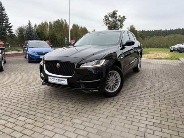 jaguar