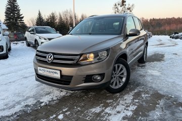 Nawigacja/Klimatronic/Panorama/Zadbany/