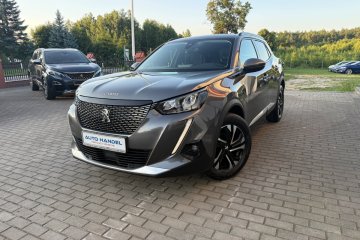 Nawigacja/Kamera cofania/Zadbany/