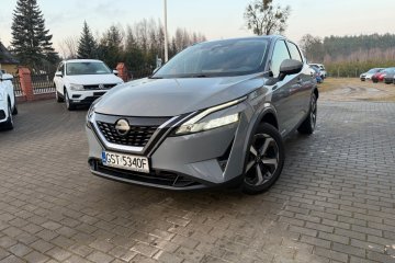 Zarejestrowany/Nawigacja/Zadbany/